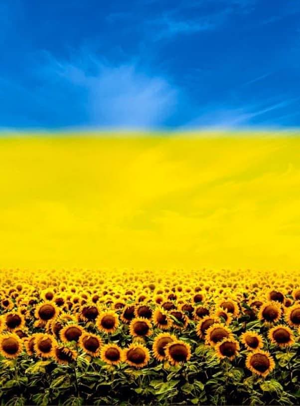 Main Street Gibsonville ... for Ukraine ... with Red Kalyna ... Stan Lewis Opening
